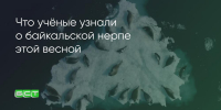 Поделитья во ВКонтакте - Братская Студия Телевидения