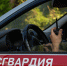 В Кавказском районе выявлен факт незаконного оборота наркотиков - Росгвардия