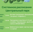 Занятия в парках Реутова с 16 по 21 июня - ProReutov.Ru