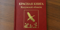 В Красную книгу Калужской области внесли новых животных - Телерадиокомпания Ника