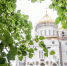 Митрополит Никандр принял участие в заседании Высшего Церковного Совета Русской Православной Церкви - Владимирская епархия
