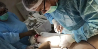 Главный хирург Херсонской области совместно с федеральными коллегами провёл уникальную операцию в Нижних Серогозах - Губернатор Херсонской области