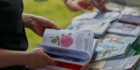 В петергофской Александрии прошли книжные выходные с участием 3700 человек - Петербургский дневник