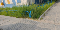 + IMG_20260616_123442.png - Администрация г.Югорска