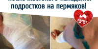 В Перми поймали подростков, жестоко избивших прохожих - VikiPerm.Com