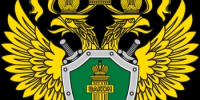 «Нарушенная заповедь» - Семикаракорский район