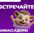 Муниципальный центр добровольчества из Азовского района стал Амбассадором - Газета Приазовье