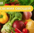 День свежих овощей - Роспотребнадзор