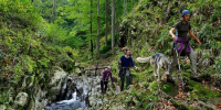 Фото: НИА Кубань - НИА-Кубань