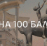 Первые результаты ЕГЭ-2026 уже известны: в Новомосковске двое стобальников - ИА Новомосковск Сегодня