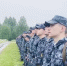 Видео - ТВН