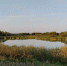 В разрешённых местах купания водолазы проверили дно водоёмов. - Новгородские Ведомости