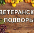 Ozp3UKF5vBo.jpg - Администрация г. Сертолово