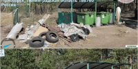 В Приозерском районе ликвидировано пять несанкционированных свалок - Комитет экологического надзора