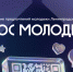 Мнение молодых ленинградцев поможет усовершенствовать государственные программы поддержки молодежи - Сетевое издание Киришский факел