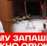В Москве сотрудники столичного главка Росгвардии проверили разрешительные документы у Аскольда Запашного - Росгвардия