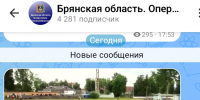 Неожиданным гостем на футбольном поле в Брянске стала... корова - ИА Наш Брянск.ru