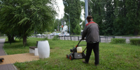 В парках и скверах Тамбова проводят формовочную стрижку кустарников - OnlineTambov.Ru