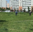 Фото: max.ru/emnaumov - Smi.Kuban.Info