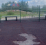 img - ЛДПР