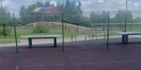 img - ЛДПР