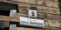 «Музей тигра» скоро появится в центре Хабаровска - Gubernia.Com