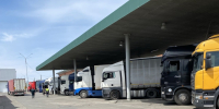 Фото предоставлено пресс-службой Управления Россельхознадзора по Иркутской области и Республике Бурятия - Buryatiya.Com
