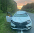 В Тюменской области из-за лося погиб пассажир авто - Yalutorovsk.Online
