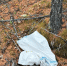 image - GazetaRB.Ru