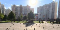 ГОЛУБИНЫЙ ПИР – БАНКЕТ ДЛЯ ГРЫЗУНОВ - Видное-ТВ