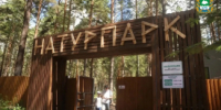 В курганском экопарке «Рябково» появятся орланы, овцебыки и гостиница - Новый мир
