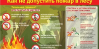 Памятка как не допустить пожар в лесу - Администрация г. Салават