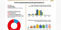 За созыв Алтайское краевое Законодательное Собрание приняло 540 региональных законов - Законодательное Собрание
