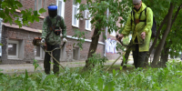  В Иванове продолжается выкашивание газонов. - Городской округ Иваново