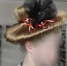 IMG_20260616_112410.png - УФСИН по Чувашской Республике