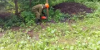 В Уфе привели в порядок парк Лесоводов - Башинформ