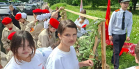 . - Выборгский район