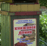 В сквере речников Чистополя открылся летний сезон работы уличной библиотеки «Книжный домик» - Чистополь-информ