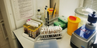 Лабораторная диагностика оспы овец и коз методом ПЦР. - ГОБВУ Мурманская облветлаборатория