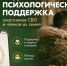 Единый федеральный медико-психологический чат поддержки КСВО начинает работу в социальной сети ВКонтакте - ИА Хакасия