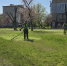 Глава Луганска поручила взять под жесткий контроль покос травы - Город Луганск