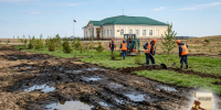 В Архангельской области по иску природоохранного прокурора загрязненный земельный участок будет восстановлен - Arh112.ru