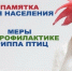 Внимание! Угроза гриппа птиц: меры профилактики и предосторожности. - Юргамышский муниципальный округ