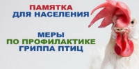 Внимание! Угроза гриппа птиц: меры профилактики и предосторожности. - Юргамышский муниципальный округ
