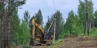 Безопасность и экология: просеки ЛЭП в Приангарье расчищают методом мульчирования - Baikal24.Ru