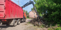 За 6 месяцев в Курске снесли 719 аварийных деревьев - Городские Известия