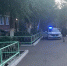 «База»: Пенсионерка из Бурятии специально бросилась под колёса байкера - ИА Байкал-Daily