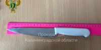 Прокуратура взыскала 300 тыс. рублей с отца, который ранил ножом 14-летнего сына - KaliningradNews.Ru