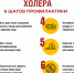 Профилактика острых инфекционных кишечных болезней - Город Мончегорск