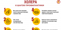 Профилактика острых инфекционных кишечных болезней - Город Мончегорск